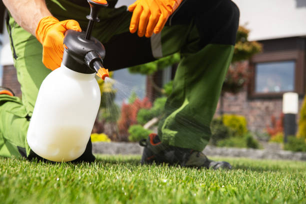 Best Affordable Pest Control Services  in Orosi, CA