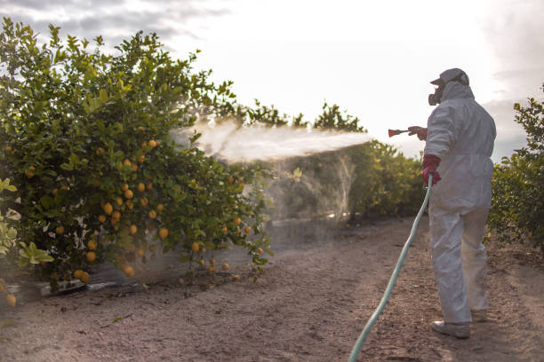 Best Rodent Control Near Me  in Orosi, CA