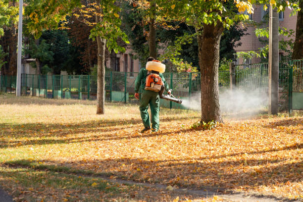 Professional Pest Control in Orosi, CA